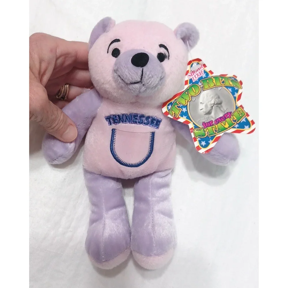Sugar Loaf Two Bits Tennessee 16th USA Flag Pink Purple Plush Bear 8 1/2